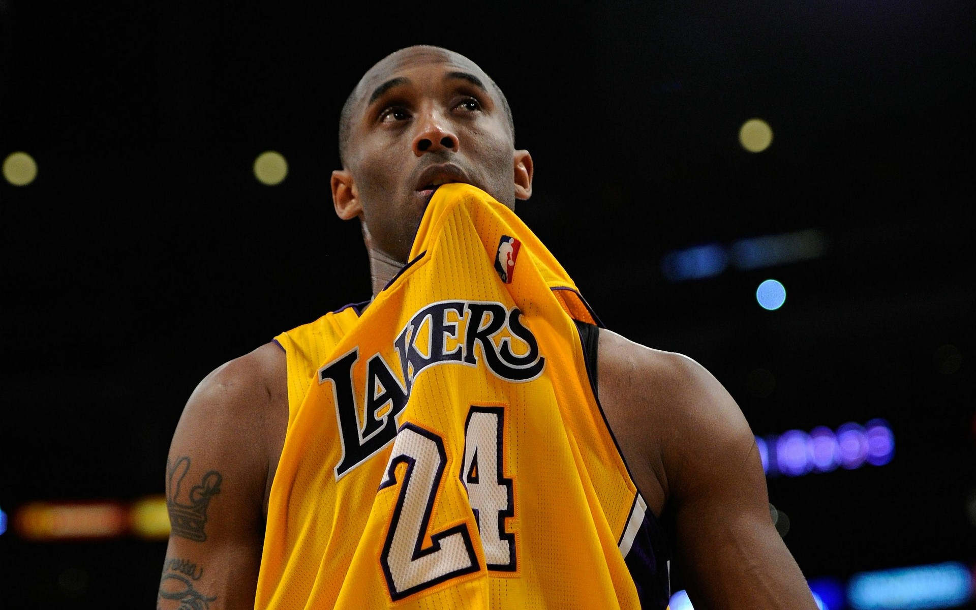 莱昂纳多的 莱昂纳多的